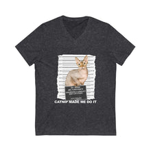 Load image into Gallery viewer, Catnip Made Me Do It Part 3 V-Neck