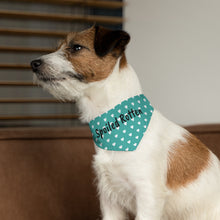 Load image into Gallery viewer, Spoiled Rotten Teal Hearts Dog Bandana