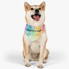 Load image into Gallery viewer, My Human Is Single Tie Die Bandana
