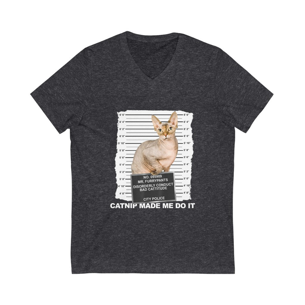 Catnip Made Me Do It Part 3 V-Neck