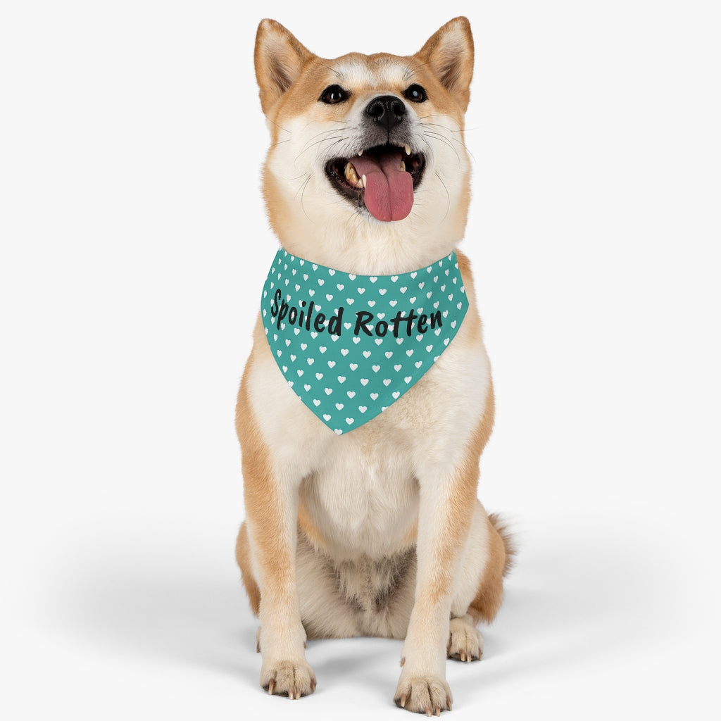 Spoiled Rotten Teal Hearts Dog Bandana